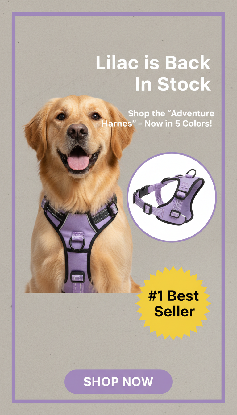 Product Showcase Ads