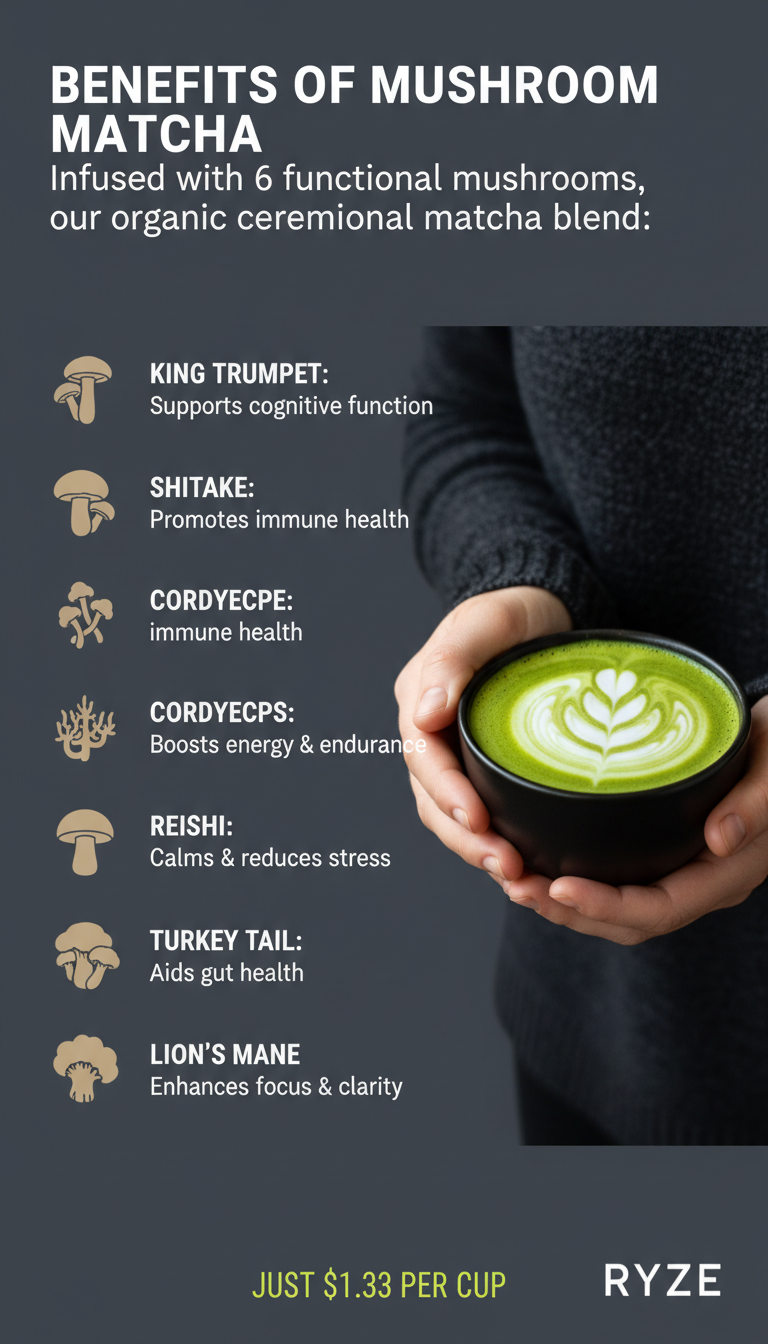 AI Ad Creation for Shopify Store Owners